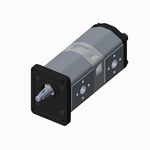 Group 2 + Grupo 2 (0.8~30cm³/rev.)