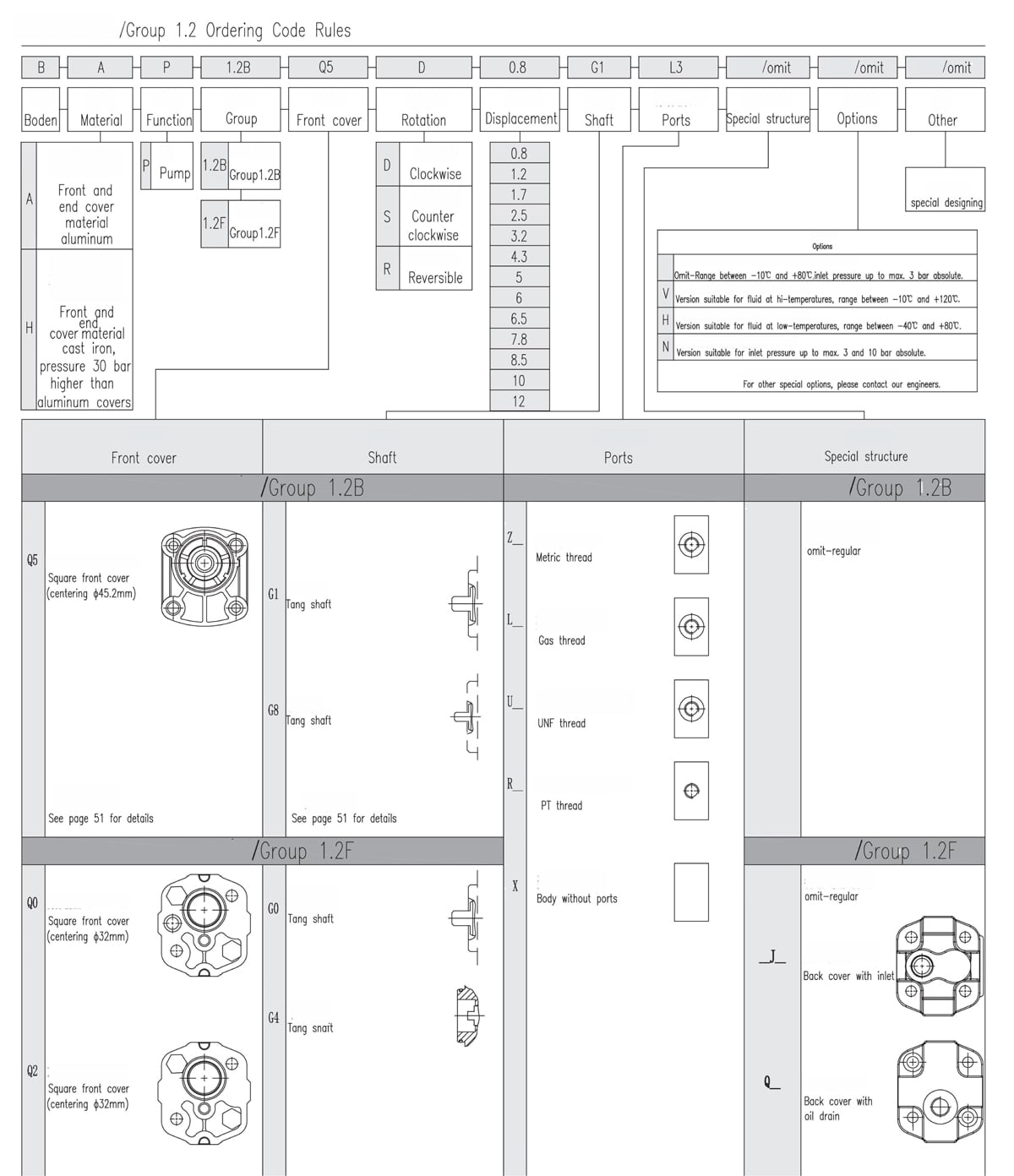 Group 1.2 External Gear Pump Regras para códigos de encomenda